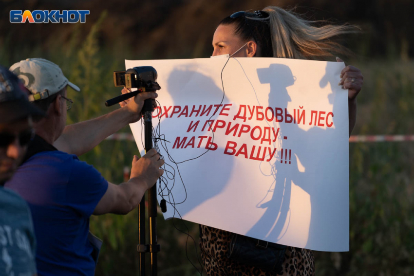 Саженцы взамен вырубленных дубов вымерзли в Волго-Ахтубинской пойме: обещали 400 тысяч