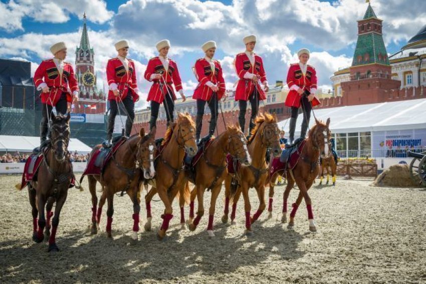 Наездники Кремлевской школы верховой езды выступят в Волгограде