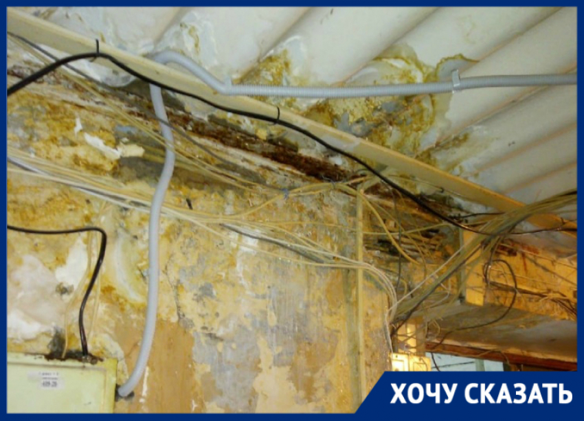 «Волоцков обещал помочь, но ничего не изменилось»: жильцы общежития в Волгограде о протекающей крыше