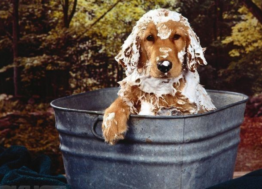 Сидящим два месяца без горячей воды волгоградцам опять ее не включили 