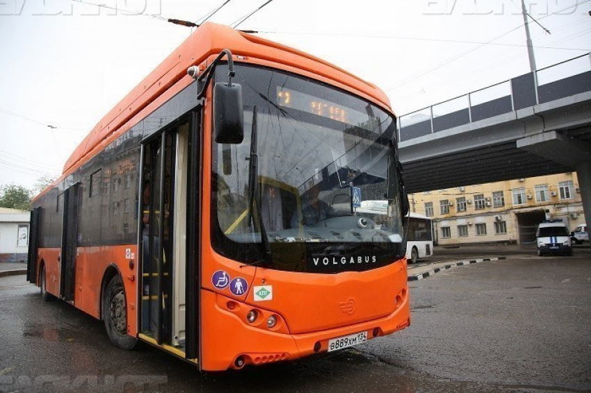 В Волгограде отменили еще 10 популярных маршруток ради автобусов