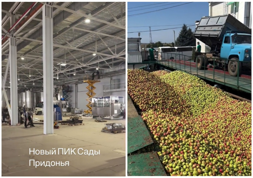 Сын российского яблочного короля показал море яблок и новый завод за 12 миллиардов