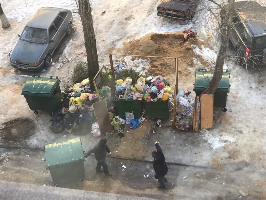 Волгоградцы могут воровать мусорные контейнеры, чтобы солить в них капусту, –  общественник о ситуации в городе