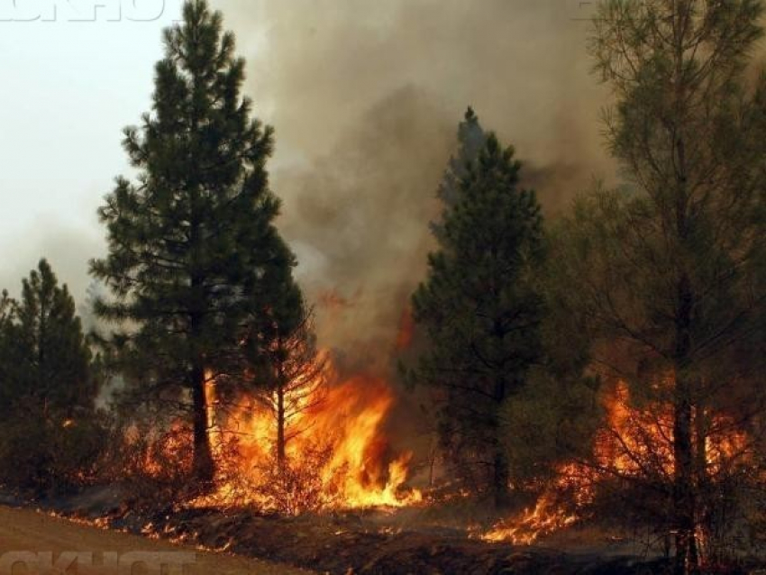 Высокая пожароопасность сохраняется в части районов Волгоградской области