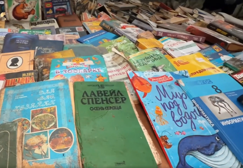 Литературные отходы: волгоградцы отправили в мусор 3 000 книг