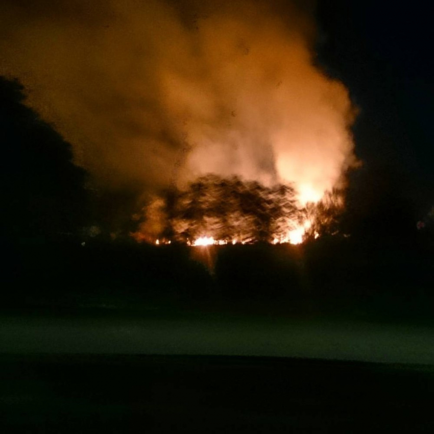 Волгоградский общественник: МЧС скрывали страшные цифры пожара в Серафимовиче
