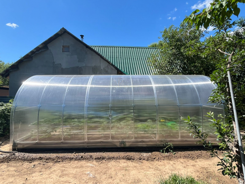 Выращивайте урожай, а не расходы!