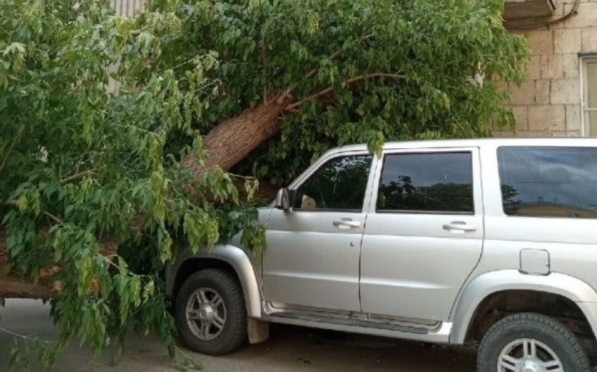 В центре Волгограда рухнуло дерево на машину и балконы