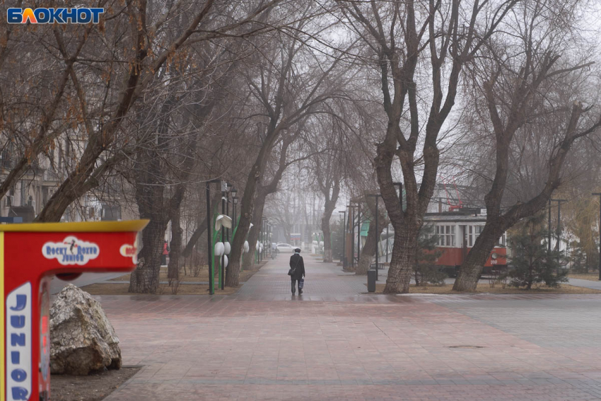 Весна в Волгограде: 31 марта воздух прогреется до +21 градуса