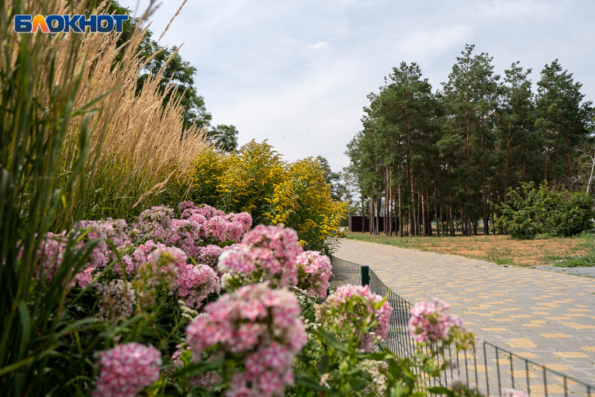 Грозы и сильная жара: погода в Волгоградской области на 21 августа