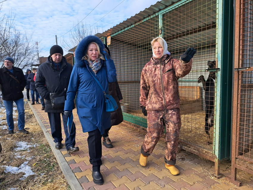 Волгоградская депутат прошлась по собачьему дерьму в вещах как из ЦУМа за миллион