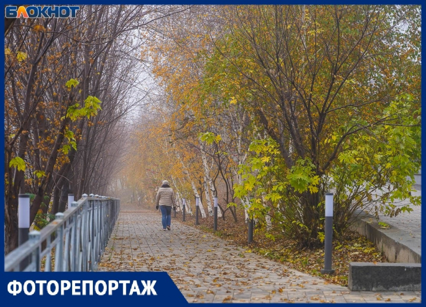 Как из Волгограда уходит аномально теплая осень 2025: смотрим на фото