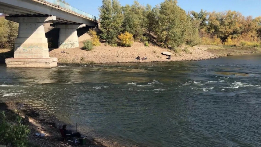 Прыгнувшую с моста 14-летнюю чудом спасли под Волгоградом