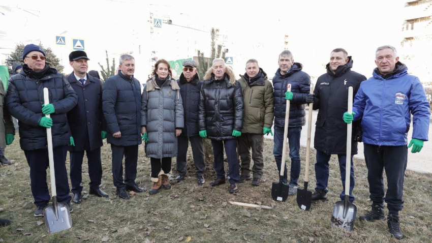 Ни пылинки на ботинках, лопаты с этикетками: волгоградские ВИПы ради пиара выехали на посадку сосен