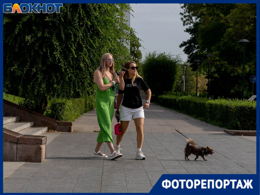 Красивый город без проблем и с роскошным климатом: чем Волгоград удивляет туристов