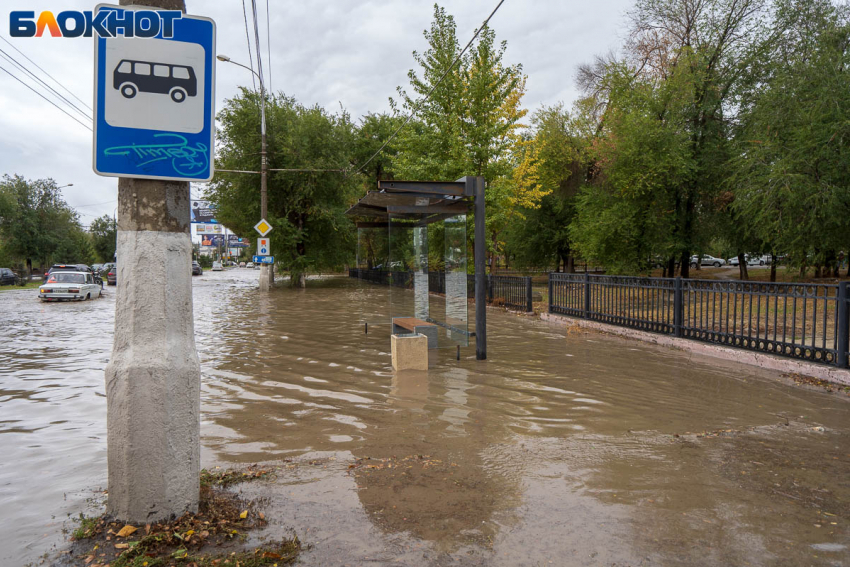 С 10 апреля в Волгограде запустят 12 дачных автобусов