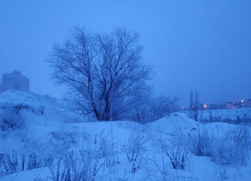 Снег с дождем и туман в начале рабочей недели обещают синоптики волгоградцам