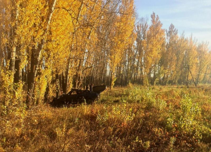 Молодой водитель не справился с управлением и разбился насмерть под Волгоградом