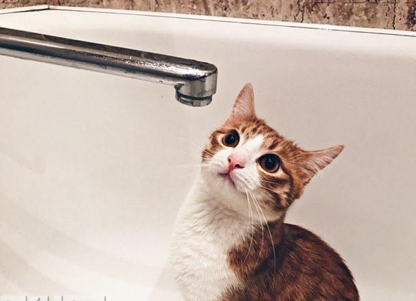 В центре Волгограда 110 домов оставят без горячей воды