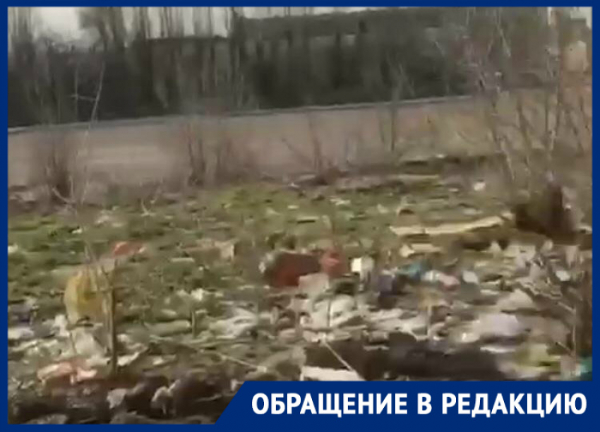 На видео показан микрорайон Волгограда, который жители сравнивают с фильмом ужасов