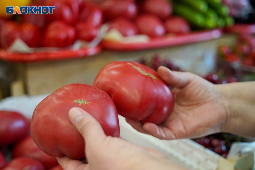 Фермер назвал причину завышенных цен на овощи в Волгограде