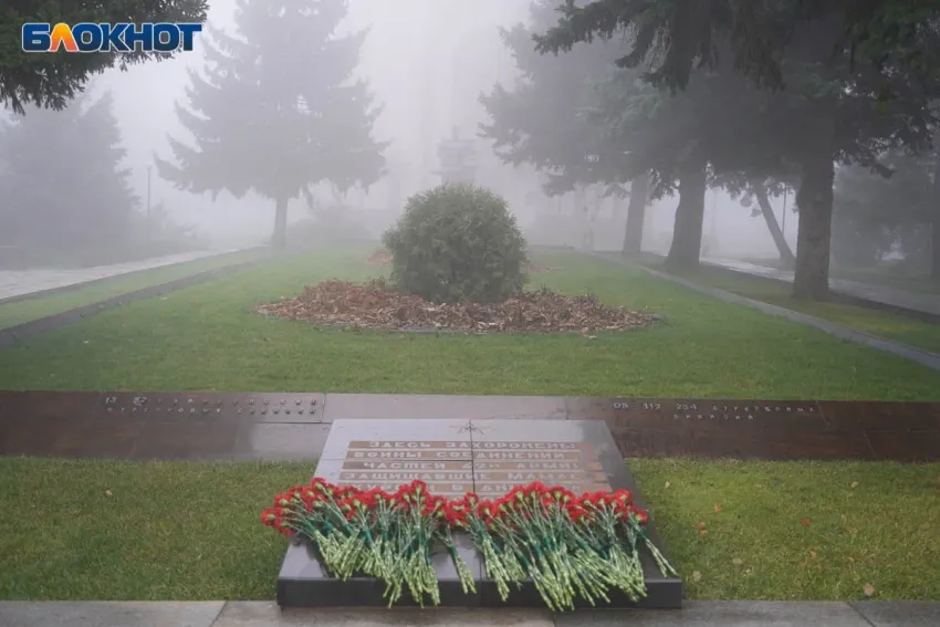 Дождливую и туманную погоду обещают синоптики в Волгоградской области