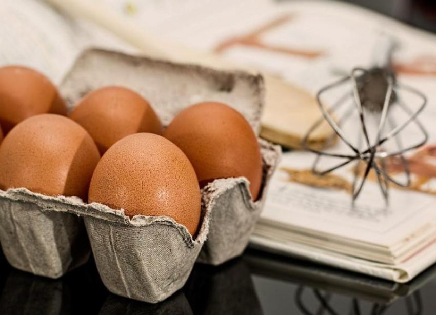 В Волгоградской области стали производить гораздо больше яиц и молока