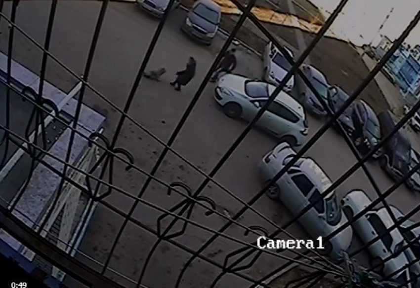 В Волжском ребенок выбежал под колеса Nissan