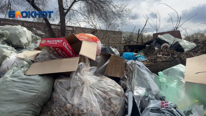 Сами виноваты! Контейнерные площадки Волгограда накрывает варварский сброс отходов.