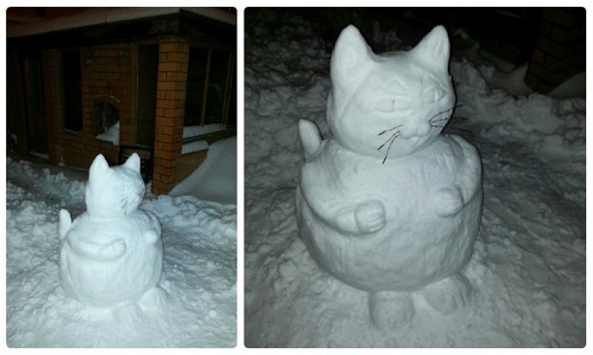 Усатый снежный котик появился на улице в Волгограде