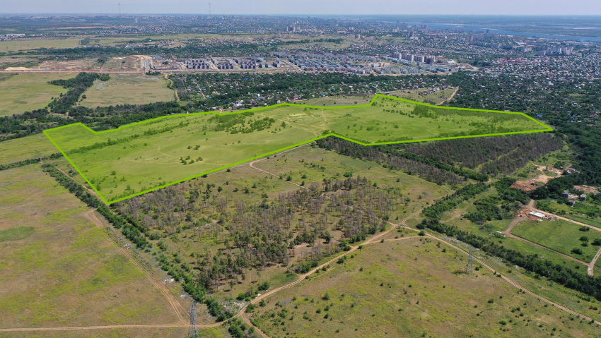 Под новый жилмассив малоэтажек на юге Волгограда отдали 36 гектаров лестостепи