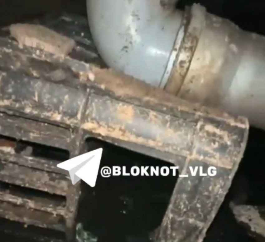 Фекальный подвал на три года испортил жизнь волгоградцам: видео