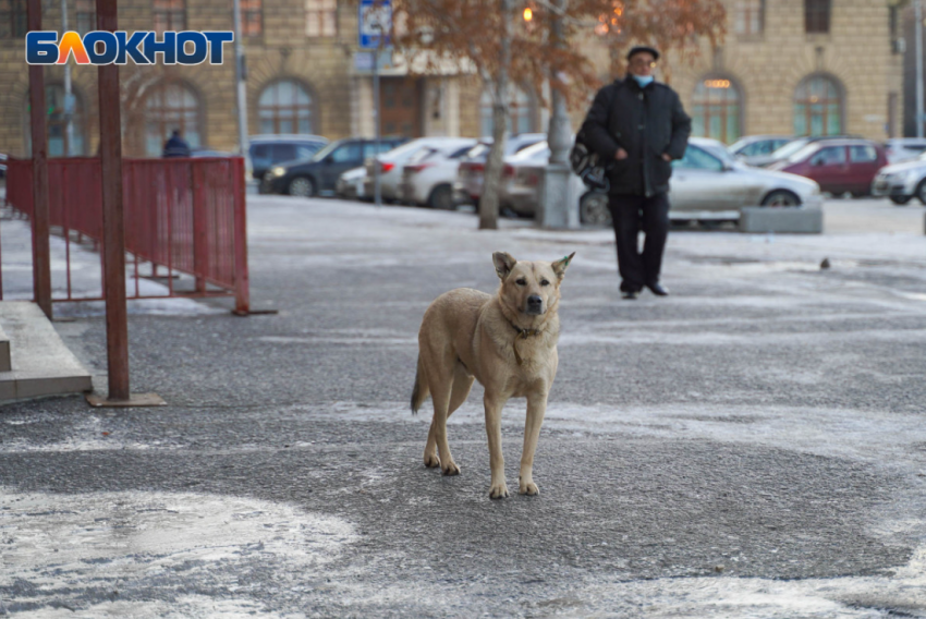 МЧС выдало предупреждение волгоградцам на ближайшие три дня