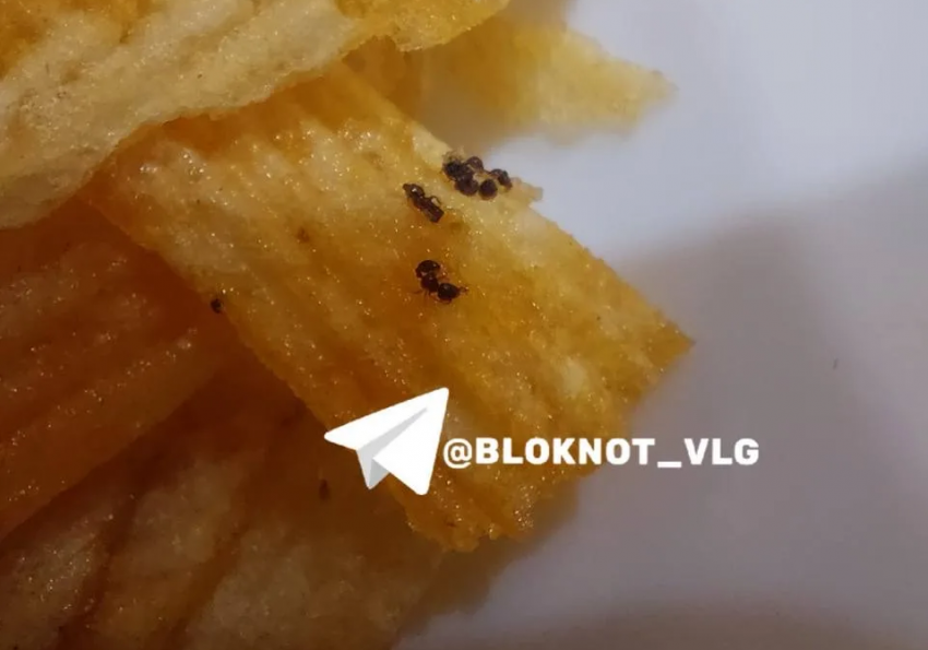 "Да это же лапы": чипсы с секретным ингредиентом нашли в Волгограде 