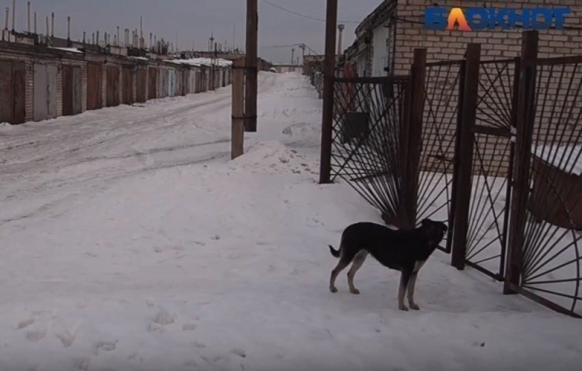 Русские морозы и снегопады придут в Волгоград во второй половине января