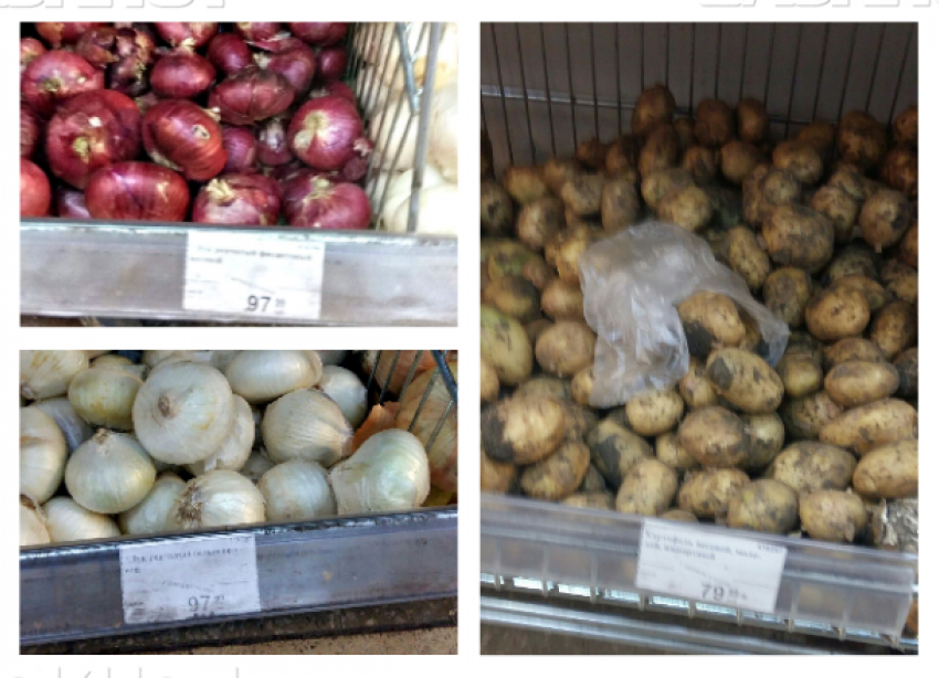 “Единая Россия” заметила в Волгограде снижение цен на овощи и фрукты