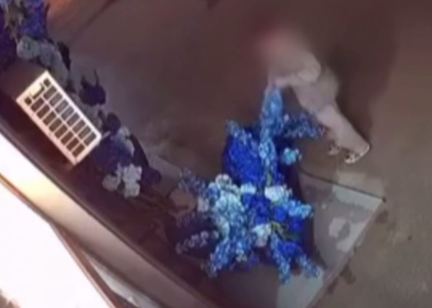 Наглый романтик обокрал цветочный в центре Волгограда - видео