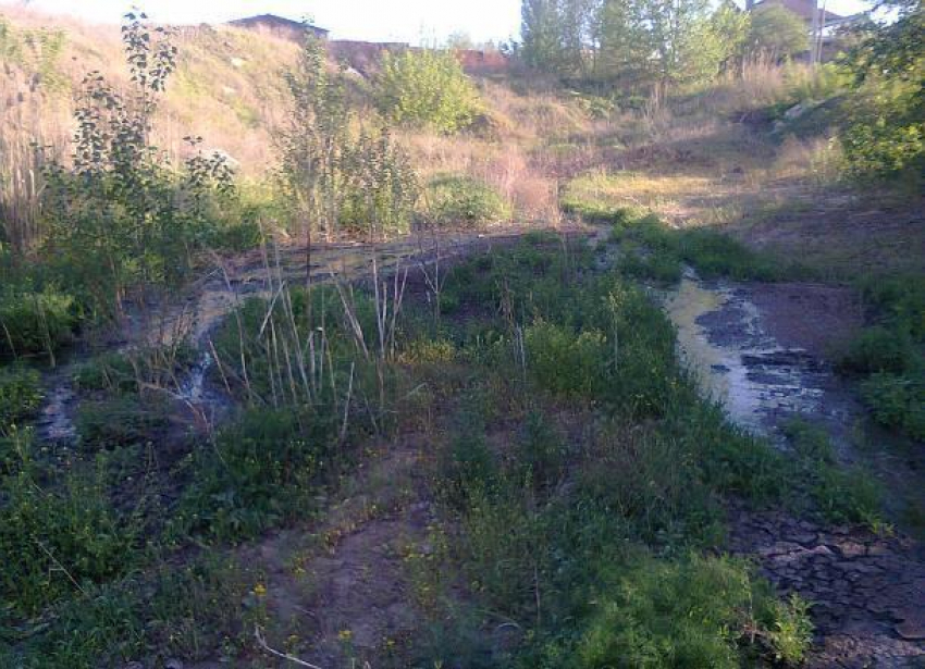 В Волгограде обнаружили фекальную реку