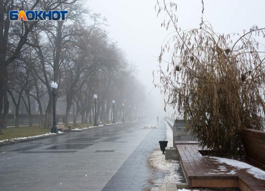 Сильный ветер поднимется в новогоднюю ночь в Волгоградской области