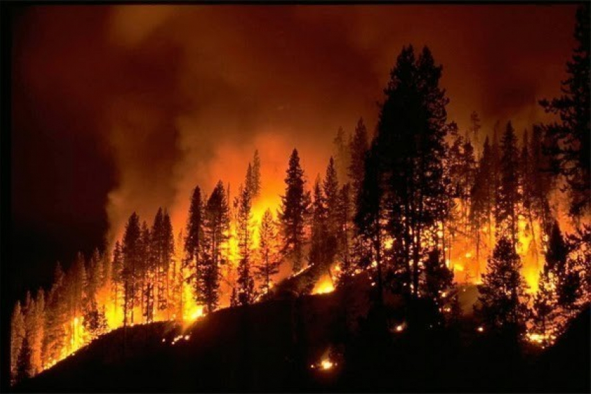 В Волгоградской области объявлено экстренное предупреждение