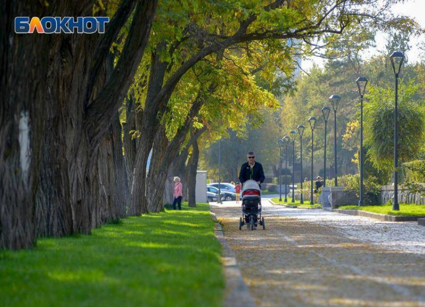 Артамон Змеевик принесет тепло и солнце в Волгоград 