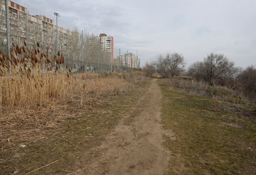 Волгоградских чиновников вывезли на пустырь с перспективой в 24 миллиарда