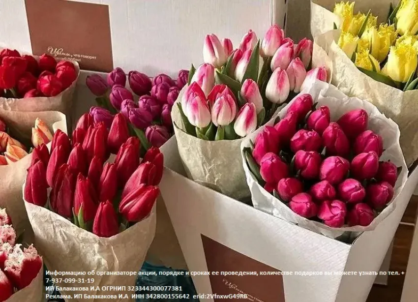 Тюльпаны по цене чашки кофе! Только один день!