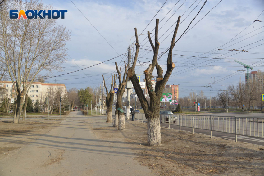 Волгограду разрешили перевести ВУЗы на дистант