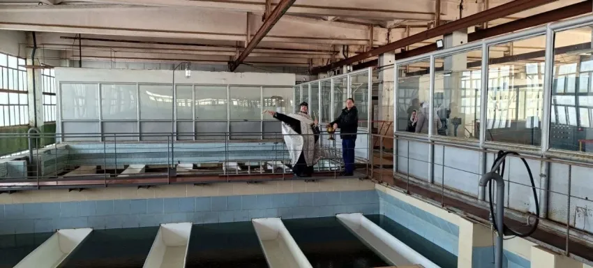 Святая вода польется из кранов избранных волгоградцев 