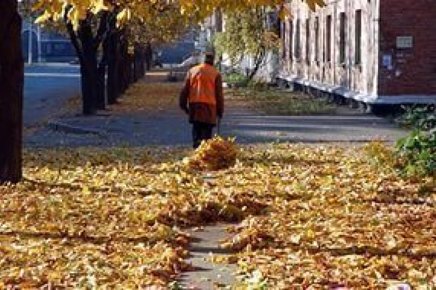 Из центра Волгограда вывезут 35 кубометров опавших листьев и укроют клумбы