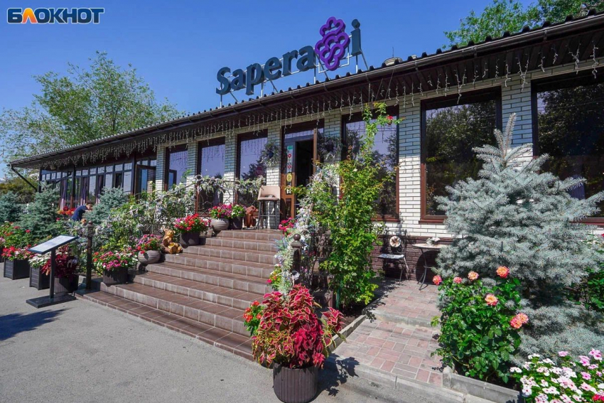 Saperavi: кухня Грузии, красота Волгограда! Конкурс «Мисс Блокнот» уже здесь!