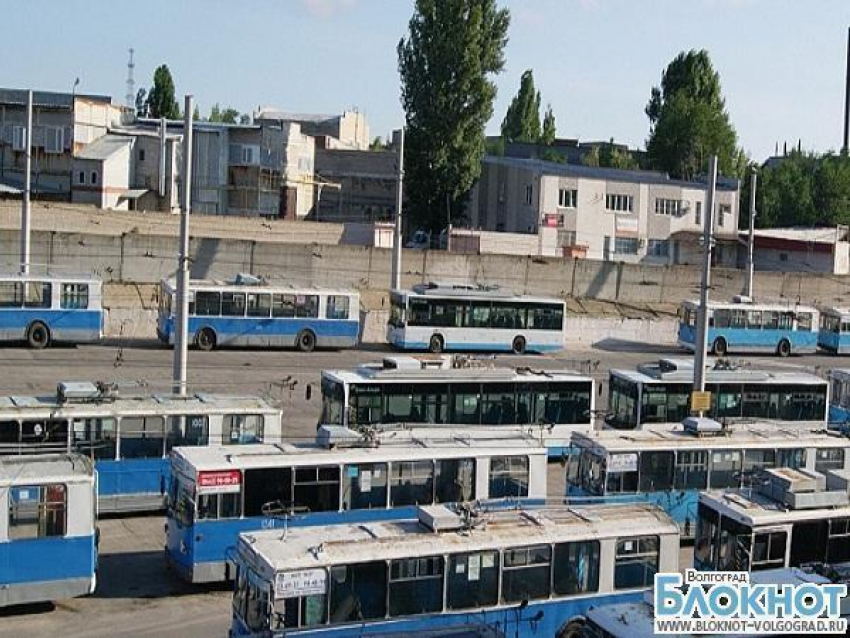 Волгоградский транспорт перейдет на особый режим движения