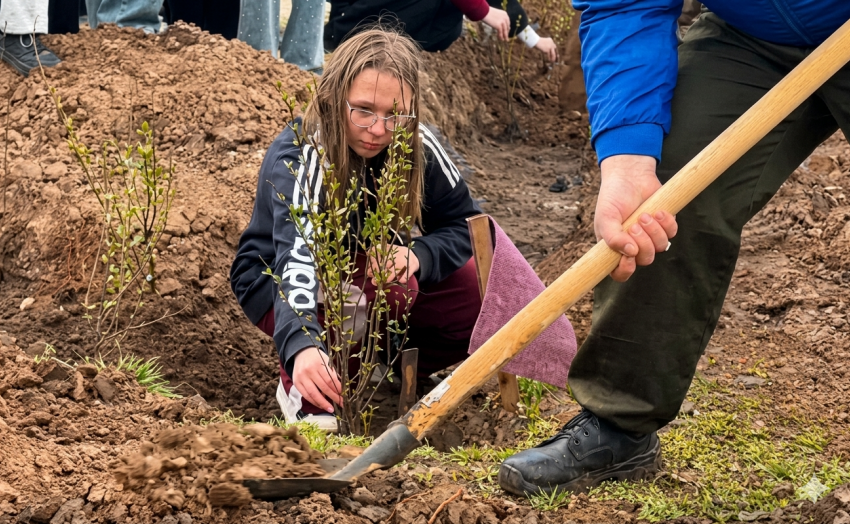 ЭкоЦентр провел акцию по высадке деревьев в одном из парков Волжского