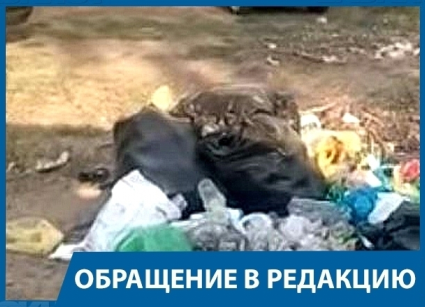 Поставьте мусорные ящики на пляже «Бобры", - волгоградец в адрес администрации Краснослободска